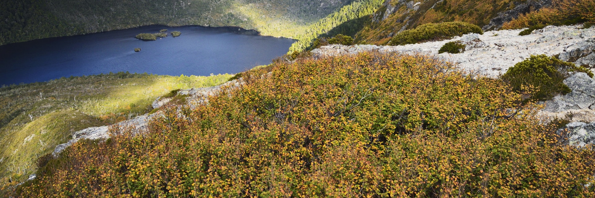 Cradle Mountain and Dove Lake, with deciduous beech (Fagus) in fall colors, Cradle Mountain-Lake St. Clair National Park, UNESCO World Heritage Site, Tasmania, Australia, Pacific