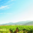 Features - baja-2881f367fc1c