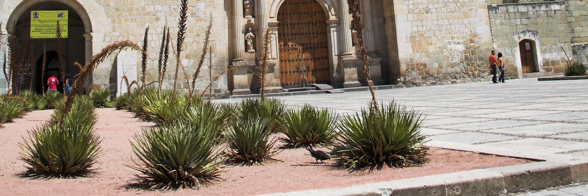 Templo de Santo Domingo, and Museo de las Culturas de Oaxaca, Calle Macedonio Alcala, Oaxaca, Oaxaca State, Mexico