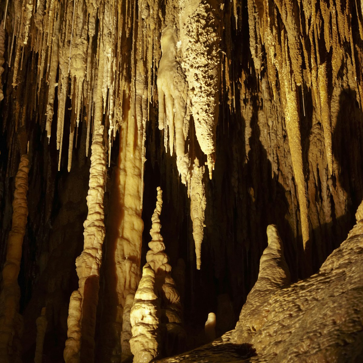 Stalactites, Newdegate Cave, Hastings Caves, Southern Tasmania, Australia
