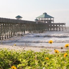 Folly Beach, South Carolina, USA - September 21, 2021: Folly Beach Pier with defocused flowering shrub in foreground
1325314405
Wooden pier behind beach sunflower bushes - stock photo
Folly Beach, South Carolina, USA - September 21, 2021: Folly Beach Pier with defocused flowering shrub in foreground