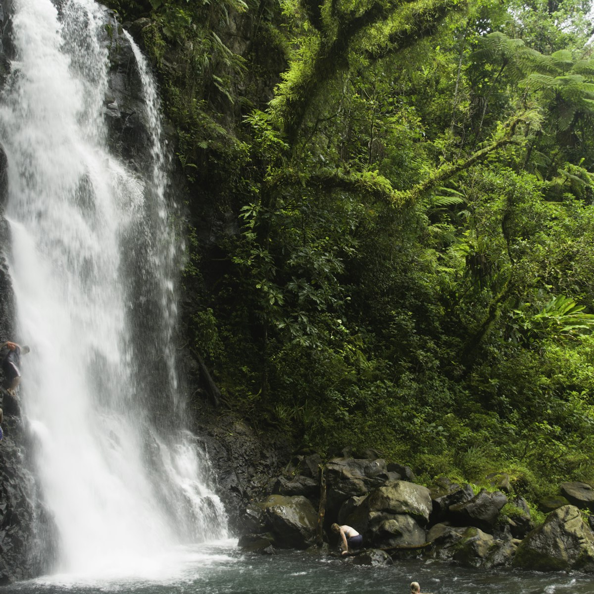 Fiji, Tavoro National Park, Taveuni Island, Middle Bouma Falls