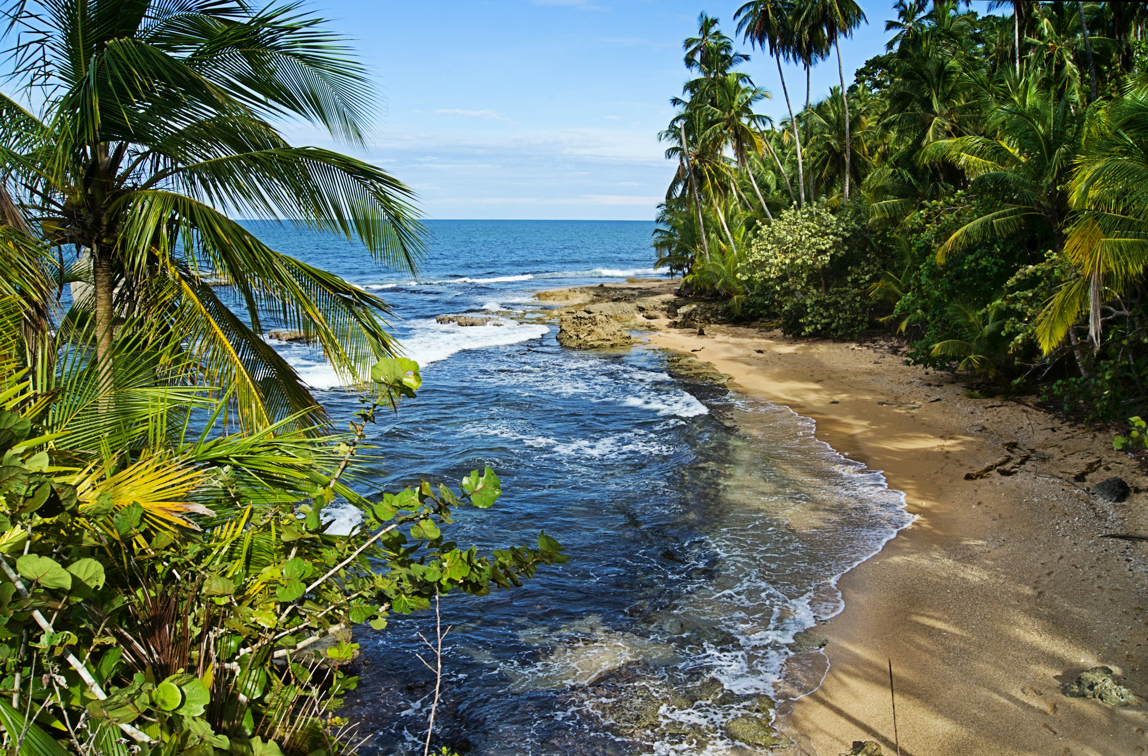 A remote sandy beach backed by jungle