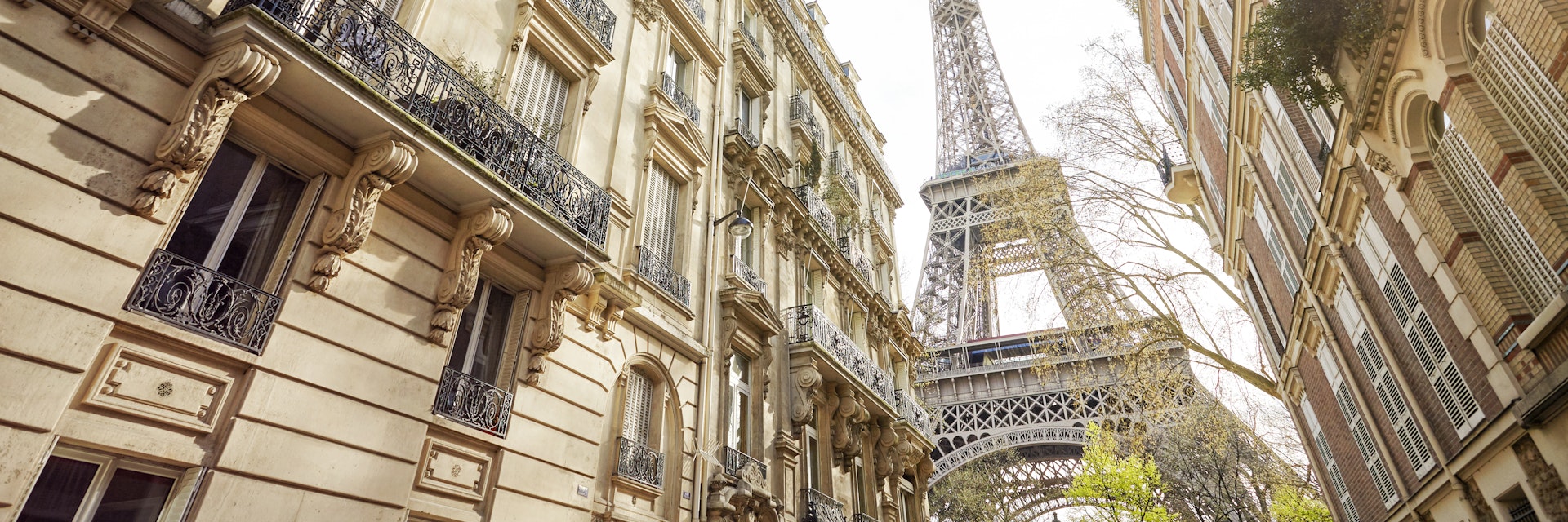 Low-angle view of the Eiffel Tower, as seen from a Paris street.