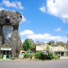 Giant Koala - Australia.jpg