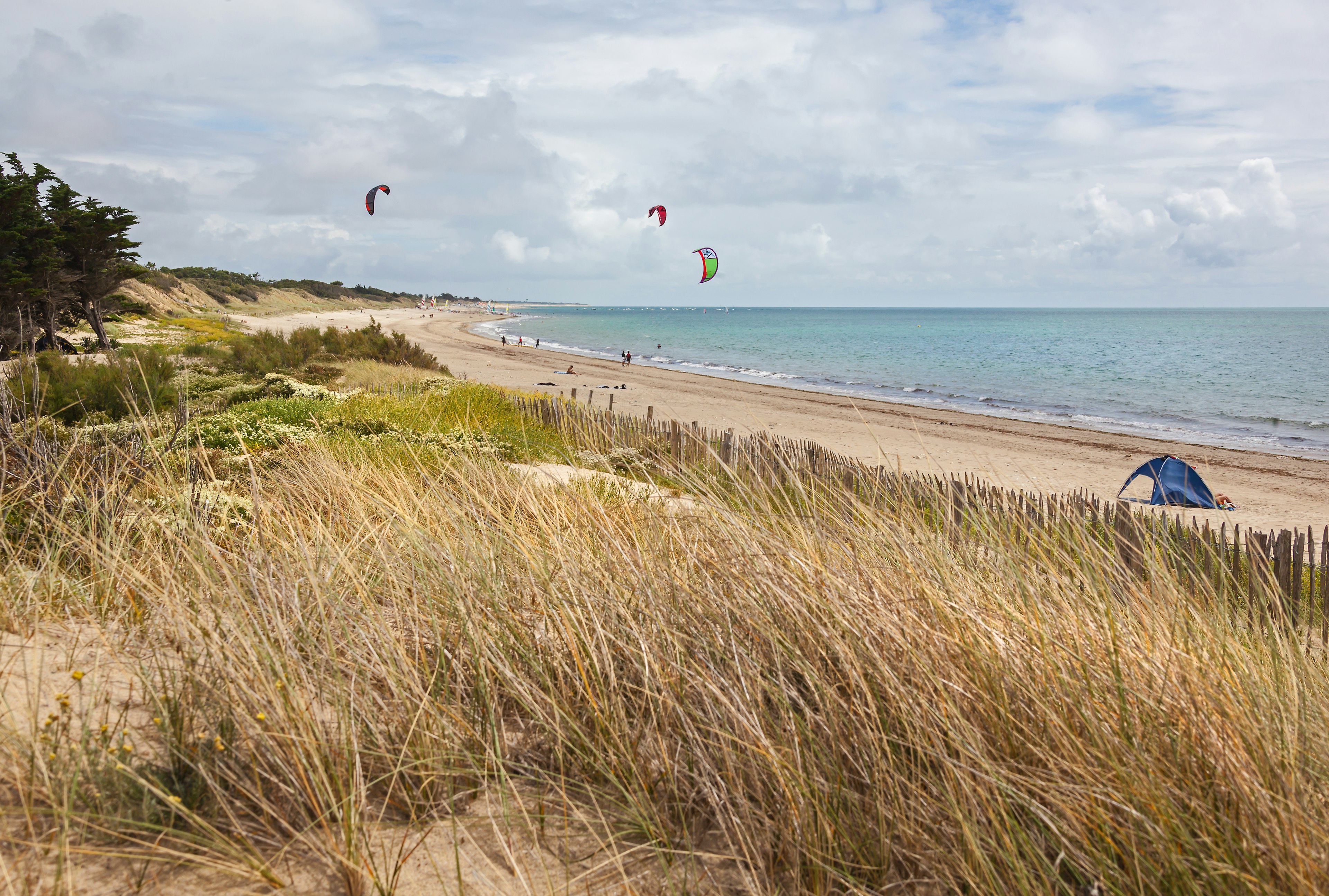 Kites fly on a beach backed by sand dunes.