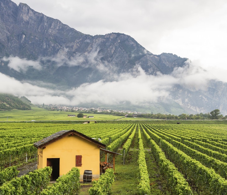 Vineyard in Valais canton, near Sierre, Sion and Martigny, Switzerland; Shutterstock ID 253309927; purchase_order: 65050; job: Lonely Planet Online Editorial; client: Best places in Valais; other: Brian Healy
253309927
agricultural, agriculture, alpine, alps, building, chalet, cloud, cloudy, cottage, countryside, cultivation, culture, field, fresh, fruit, grape, green, grow, growing, harvest, hill, house, hut, landscape, mist, misty, mountain, nature, outdoor, pastoral, pole, produce, rain, rainy, ripe, row, rural, scene, scenery, scenic, summer, swiss, town, travel, valais, valley, village, vines, wine, winery
Vineyard in Valais canton, near Sierre, Sion and Martigny, Switzerland