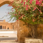 Gate in ruins of El Badi palace in Marrakesh - Morocco License Type: media Download Time: 2023-06-18T19:50:41.000Z User: Is Editorial: No purchase_order: 56530