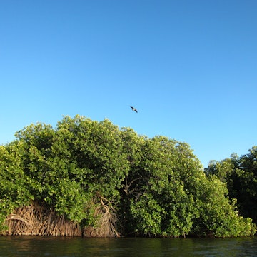 Chacahua. Natural reserve in Oaxaca, Mexico.