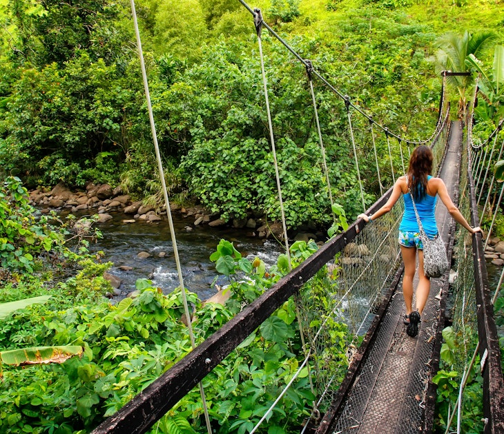 Young woman walking on a suspension bridge over Wainibau stream on the Lavena Coastal Walk.
532856152
hiking, coastal, island, adventure, destination, tropics, oceania, park, national, tropical, river, travel, landmark, suspension, scenery, stream, pacific, walk, paradise, tourist, wood, girl, young, heritage, woman, person, outdoors, scenic, tourism, wooden, water, bridge, nature, vacation, construction, lavena, suspended, structure, landscape, fiji, ocean, jungle, taveuni, wainibau, rainforest, bouma, south, levu, vanua
