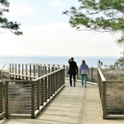 Could be a mother and daughter, aunt and neice, grandmother and granddaughter family relationship of two people wearing jackets in the southern winter of South Carolina down the boardwalk pier towards the ocean on Hilton Head Island.