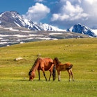 September 2024 Where to Go When Hero - Mongolia