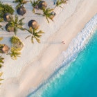 Aerial view of umbrellas, palms on the sandy beach of Indian Ocean at sunset in Zanzibar